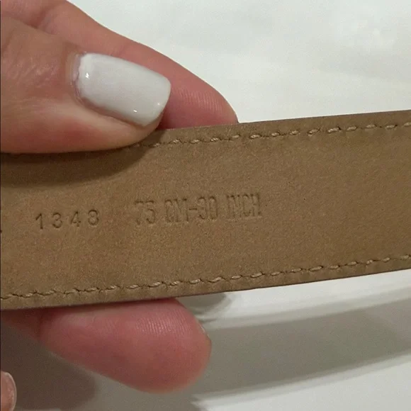 Dolce & Gabbana Mauve Belt with Ornate Gold Buckle - Picture 2 of 2